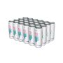 AMIX BCAA Drink 250 ml Tropical 24 uds